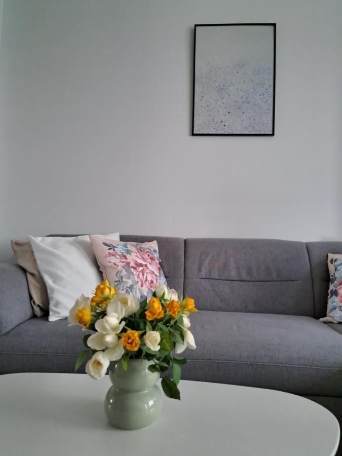 Apartament Onestilor Διαμέρισμα Oradea Εξωτερικό φωτογραφία
